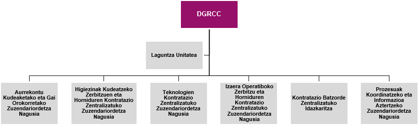 DGRCC organigrama