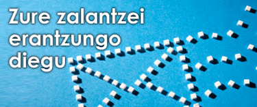 Banner Zure zalantzei erantzungo diegu