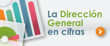La Dirección General en cifras Banner La Dirección General en cifras